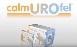 <strong>Voz:</strong>&nbsp;Stefanie M.